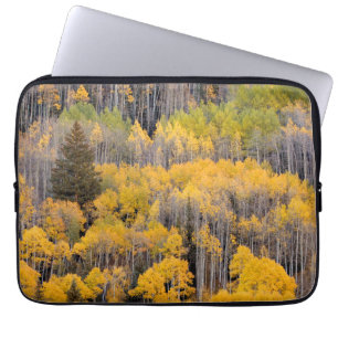 Aspen Trees   White River National Forest Laptop Sleeve