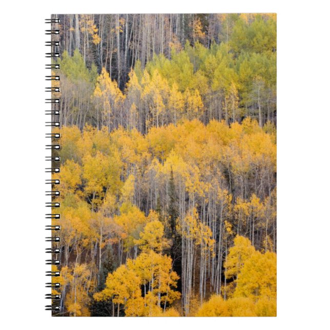 Aspen Trees | White River National Forest Notebook (Front)