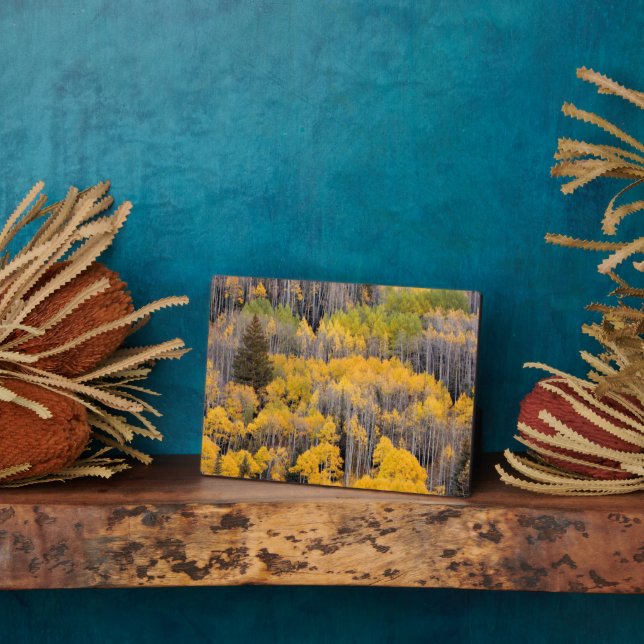 Aspen Trees | White River National Forest Plaque (Side)