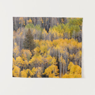 Aspen Trees White River National Forest Tapestry