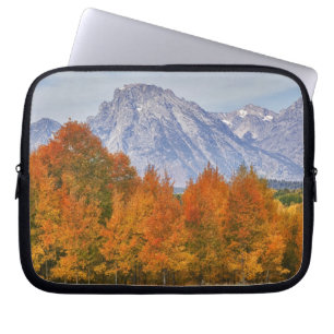 Aspen trees with the Teton mountain range 5 Laptop Sleeve