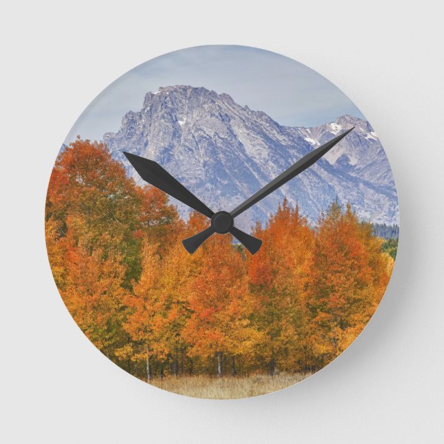 Aspen trees with the Teton mountain range 5 Round Clock (Front)