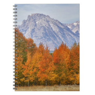 Aspen trees with the Teton mountain range 5 Spiral Notebook