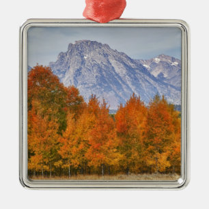 Aspen trees with the Teton mountain range Metal Tree Decoration