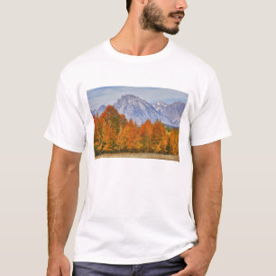 Aspen trees with the Teton mountain range T-Shirt