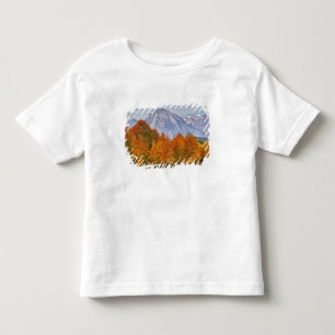 Aspen trees with the Teton mountain range Toddler T-Shirt