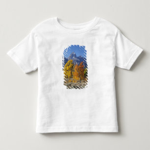 Aspen trees with the Teton mountain range Toddler T-Shirt