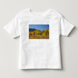 Aspen trees with the Teton mountain range Toddler T-Shirt