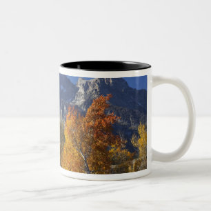 Aspen trees with the Teton mountain range Two-Tone Coffee Mug