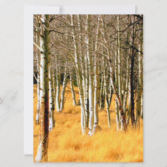 aspen tress invitation card (Front)