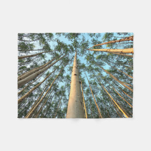 Aspen Trunks And Leaves, Yukon Fleece Blanket