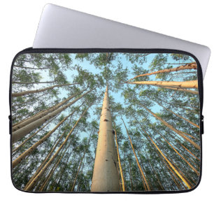 Aspen Trunks And Leaves, Yukon Laptop Sleeve