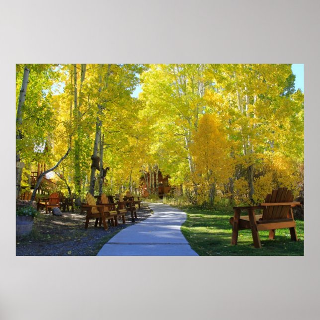 "Aspen Walkway" Fall Colours, Hope Valley CA. Poster (Front)