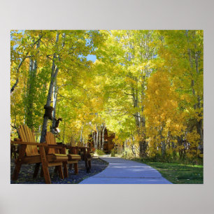 "Aspen Walkway", Ground View, Autumn Poster