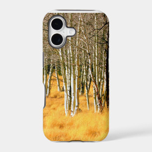 aspen woods case