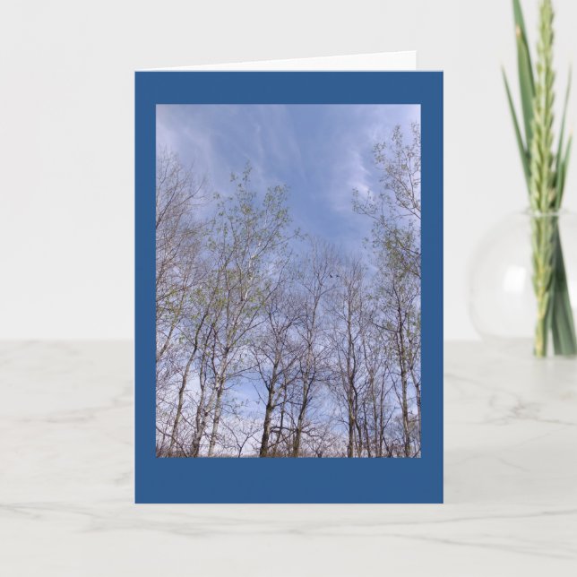 Aspens Against A Wisconsin Sky Blank Note Card (Front)