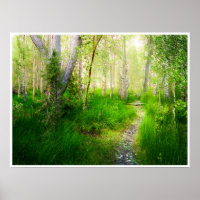 Aspens and Lush Grasses at Convict Lake Photo
