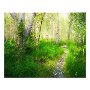 Aspens and Lush Grasses at Convict Lake Wall Art