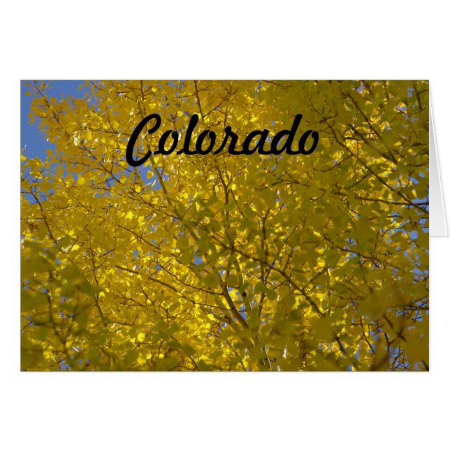 Aspens Card (Front Horizontal)