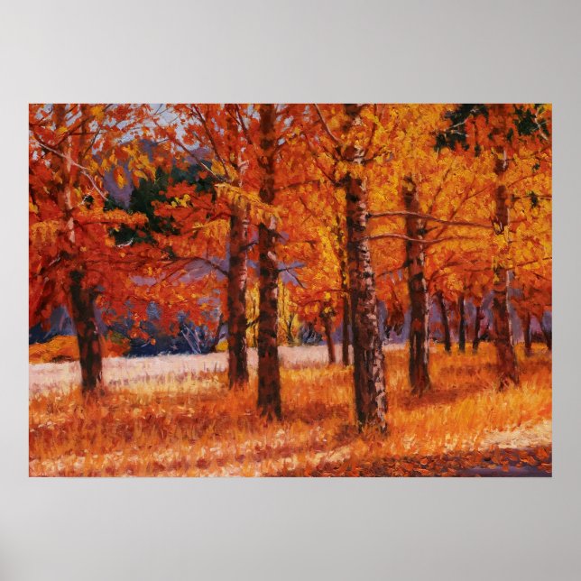 Aspens of Colorado in Beautiful Autumn Splendor Poster (Front)