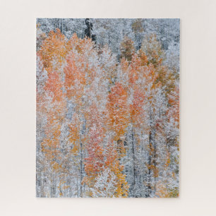 Aspens & Snow   Rocky Mountains, Colorado Jigsaw Puzzle