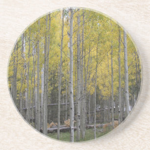 Aspen's yellow glow coaster