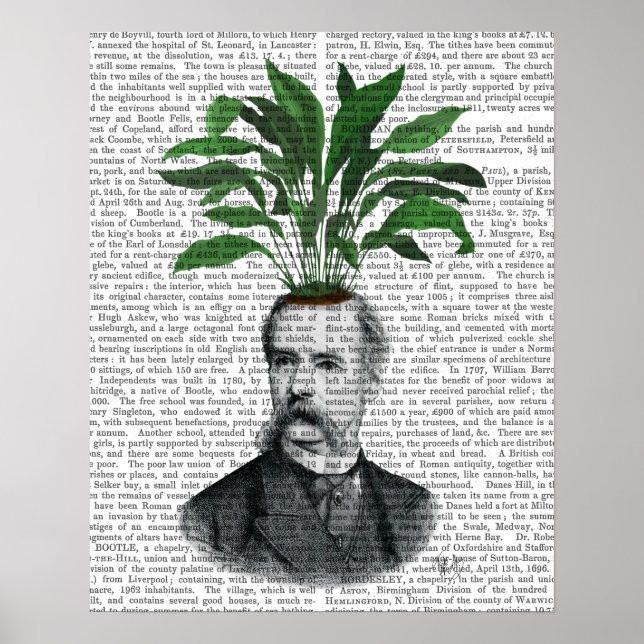 Aspidistra Head Plant Head Poster (Front)
