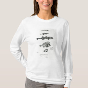 Aspidophorus Chiloensis and Agriopus Hispidus T-Shirt