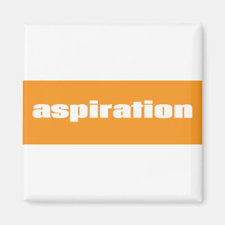Aspiration Magnet