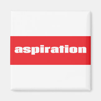 Aspiration Magnet