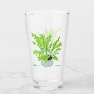 Asplenium Bird's nest fern - drawing on white. Glass