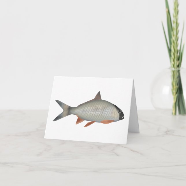 Assamese Kingfish Note Card (Front)