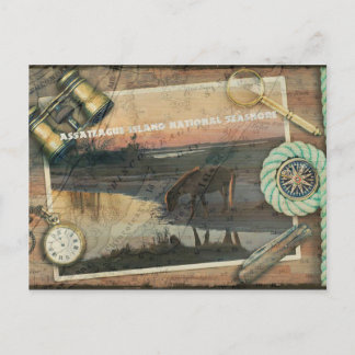 Assateague/Chincoteague Postcard