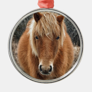 Assateague Horse Mieke's Noe'lani Portrait Metal Tree Decoration