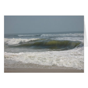 Assateague Island National Seashore