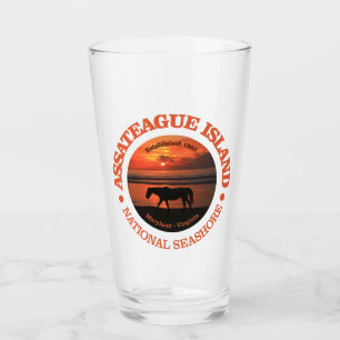 Assateague Island National Seashore Glass