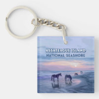 Assateague Island National Seashore Horses Vintage