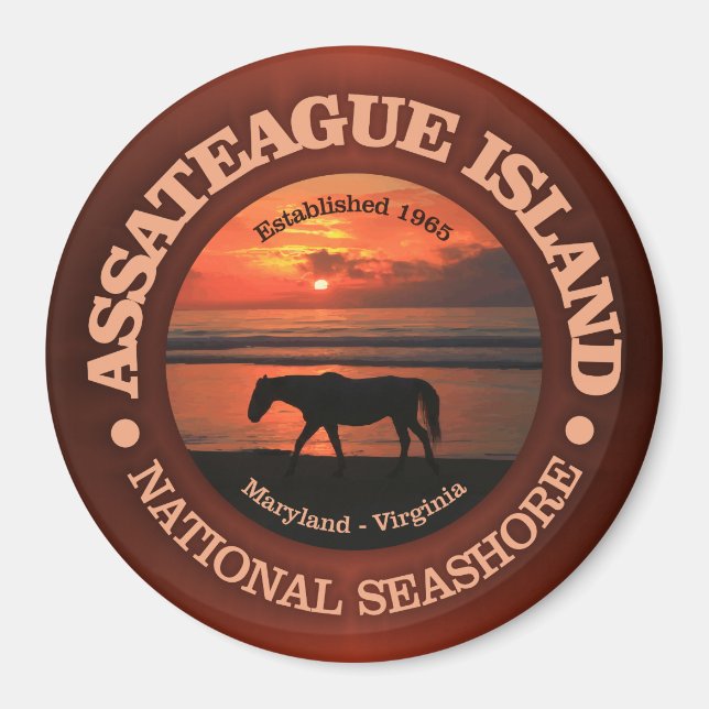 Assateague Island National Seashore Magnet (Front)