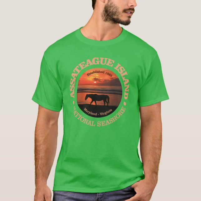 Assateague Island National Seashore NP T-Shirt (Front)
