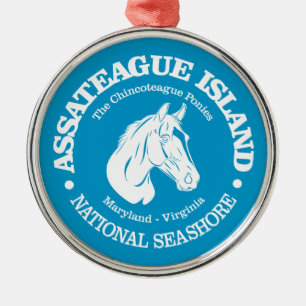 Assateague Island (pony) Metal Tree Decoration