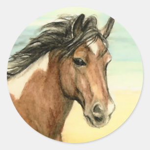 "Assateague Pony" Horse Art Sticker