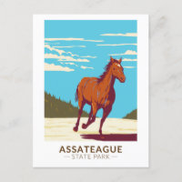 Assateague State Park Maryland Badge