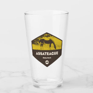 Assateague State Park Maryland Glass