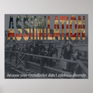 Assimilation Poster