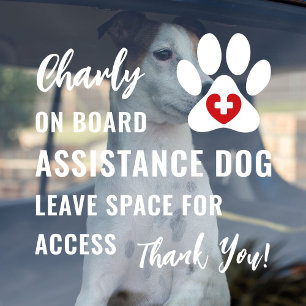Assistance Dog on Board Leave Space for Access Car