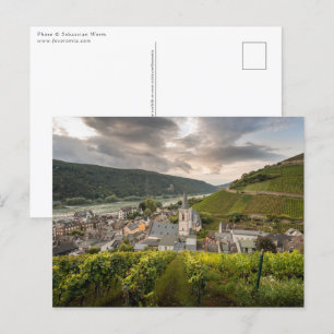 Assmannshausen Postcard
