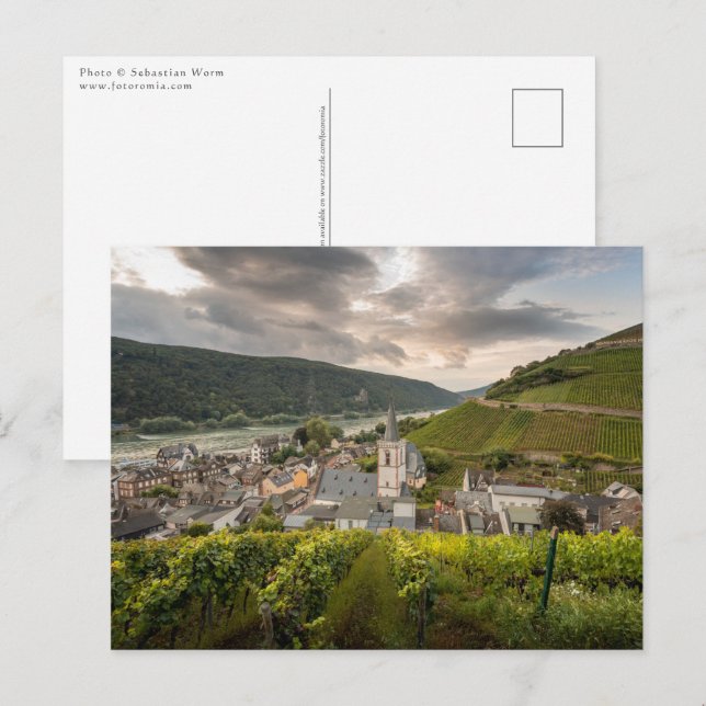 Assmannshausen Postcard (Front/Back)