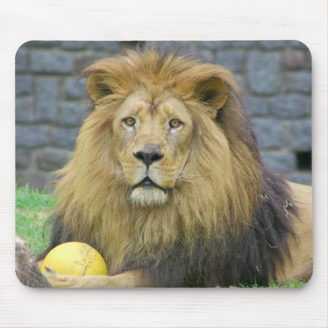 Assorted Animal Mousepads (Front)
