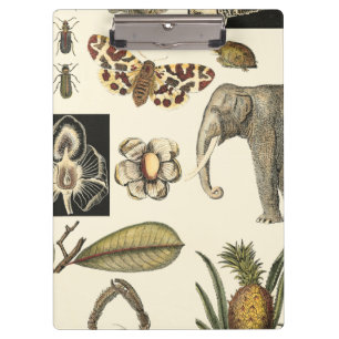 Assorted Animals Painted on Cream Background Clipboard