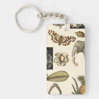 Assorted Animals Painted on Cream Background